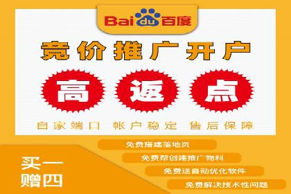 SEM竞价优化策略：成功案例解析